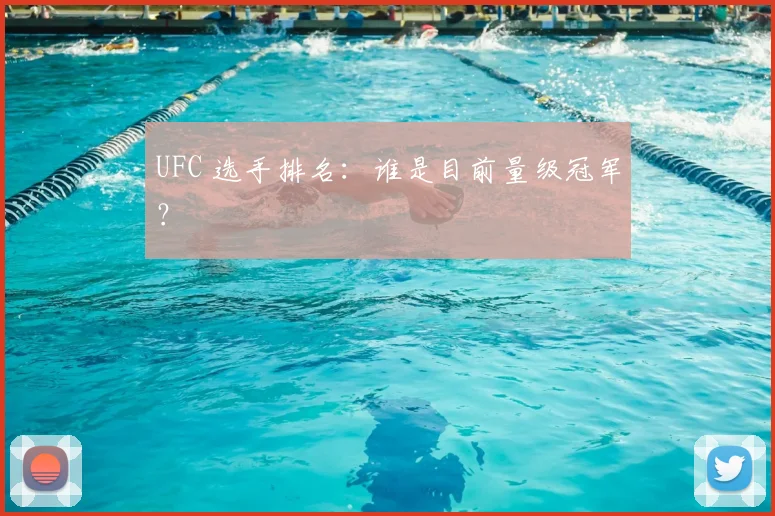 UFC 选手排名:谁是目前量级冠军?
