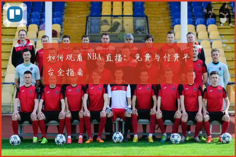 如何观看 NBA 直播：免费与付费平台全指南