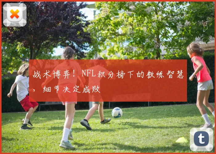 战术博弈！NFL积分榜下的教练智慧，细节决定成败